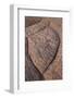 Erosion Pattern in Navajo Sandstone-James Hager-Framed Photographic Print