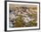 Erosion Patterns-David Jay Zimmerman-Framed Photographic Print