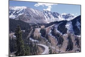 Erosion Prevention, Contoured Bands of Trees Unfelled, Also Acting as Fire Break, Colorado-Walter Rawlings-Mounted Photographic Print