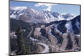 Erosion Prevention, Contoured Bands of Trees Unfelled, Also Acting as Fire Break, Colorado-Walter Rawlings-Mounted Photographic Print