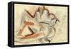 Erotic Drawing-Boris Dmitryevich Grigoriev-Framed Stretched Canvas