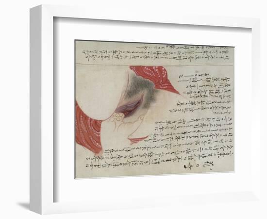 Erotic Illustration from a Scroll-null-Framed Giclee Print