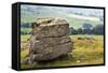 Erratic Boulder at Norber, Yorkshire, England, United Kingdom, Europe-Mark Sunderland-Framed Stretched Canvas