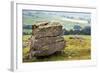 Erratic Boulder at Norber, Yorkshire, England, United Kingdom, Europe-Mark Sunderland-Framed Photographic Print