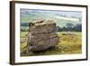 Erratic Boulder at Norber, Yorkshire, England, United Kingdom, Europe-Mark Sunderland-Framed Photographic Print