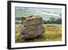 Erratic Boulder at Norber, Yorkshire, England, United Kingdom, Europe-Mark Sunderland-Framed Photographic Print