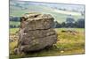 Erratic Boulder at Norber, Yorkshire, England, United Kingdom, Europe-Mark Sunderland-Mounted Photographic Print