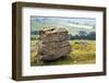 Erratic Boulder at Norber, Yorkshire, England, United Kingdom, Europe-Mark Sunderland-Framed Photographic Print