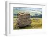 Erratic Boulder at Norber, Yorkshire, England, United Kingdom, Europe-Mark Sunderland-Framed Photographic Print