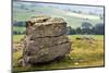 Erratic Boulder at Norber, Yorkshire, England, United Kingdom, Europe-Mark Sunderland-Mounted Photographic Print