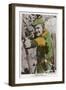 Errol Flynn as Robin Hood-null-Framed Photographic Print