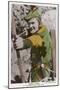 Errol Flynn as Robin Hood-null-Mounted Photographic Print