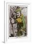 Errol Flynn as Robin Hood-null-Framed Photographic Print