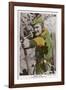 Errol Flynn as Robin Hood-null-Framed Photographic Print