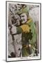 Errol Flynn as Robin Hood-null-Mounted Photographic Print