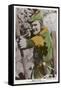 Errol Flynn as Robin Hood-null-Framed Stretched Canvas