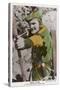 Errol Flynn as Robin Hood-null-Stretched Canvas