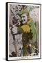 Errol Flynn as Robin Hood-null-Framed Stretched Canvas