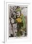 Errol Flynn as Robin Hood-null-Framed Photographic Print