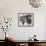 Errol Flynn, David Niven, Basil Rathbone-null-Framed Photo displayed on a wall