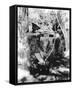 Errol Flynn - The Adventures of Robin Hood-null-Framed Stretched Canvas
