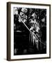 Errol Flynn - The Adventures of Robin Hood-null-Framed Photo