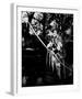 Errol Flynn - The Adventures of Robin Hood-null-Framed Photo