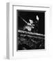 Errol Flynn - The Adventures of Robin Hood-null-Framed Photo