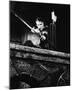 Errol Flynn - The Adventures of Robin Hood-null-Mounted Photo