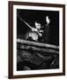 Errol Flynn - The Adventures of Robin Hood-null-Framed Photo