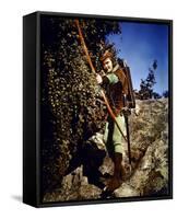 Errol Flynn - The Adventures of Robin Hood-null-Framed Stretched Canvas