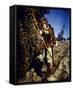 Errol Flynn - The Adventures of Robin Hood-null-Framed Stretched Canvas