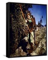 Errol Flynn - The Adventures of Robin Hood-null-Framed Stretched Canvas