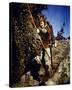 Errol Flynn - The Adventures of Robin Hood-null-Stretched Canvas