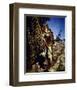 Errol Flynn - The Adventures of Robin Hood-null-Framed Photo