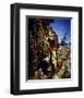 Errol Flynn - The Adventures of Robin Hood-null-Framed Photo