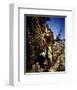 Errol Flynn - The Adventures of Robin Hood-null-Framed Photo