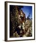 Errol Flynn - The Adventures of Robin Hood-null-Framed Photo