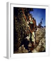 Errol Flynn - The Adventures of Robin Hood-null-Framed Photo