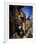 Errol Flynn - The Adventures of Robin Hood-null-Framed Photo