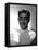 Errol Flynn-null-Framed Stretched Canvas