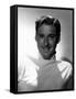 Errol Flynn-null-Framed Stretched Canvas