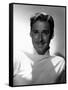 Errol Flynn-null-Framed Stretched Canvas