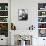 Errol Flynn-null-Framed Stretched Canvas displayed on a wall