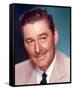 Errol Flynn-null-Framed Stretched Canvas