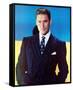 Errol Flynn-null-Framed Stretched Canvas