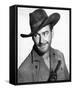 Errol Flynn-null-Framed Stretched Canvas