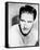 Errol Flynn-null-Framed Stretched Canvas