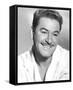 Errol Flynn-null-Framed Stretched Canvas