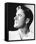 Errol Flynn-null-Framed Stretched Canvas